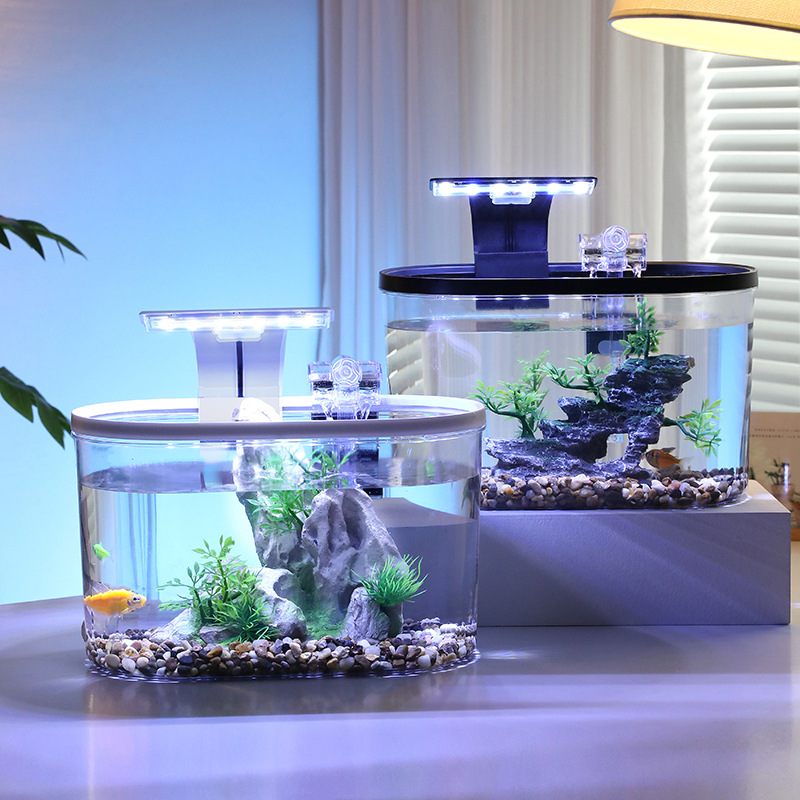 Oval Desktop Aquascape Eco Fish Tank with Lights