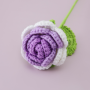 Crochet Gradient Wool Roses Bouquet 6pcs