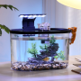 Oval Desktop Aquascape Eco Fish Tank with Lights